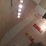 Filioli *